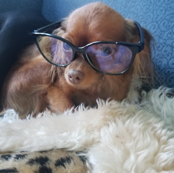 Meet your Posher :) - Picture 4 of 4